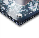 Retired Ram Acrylic print