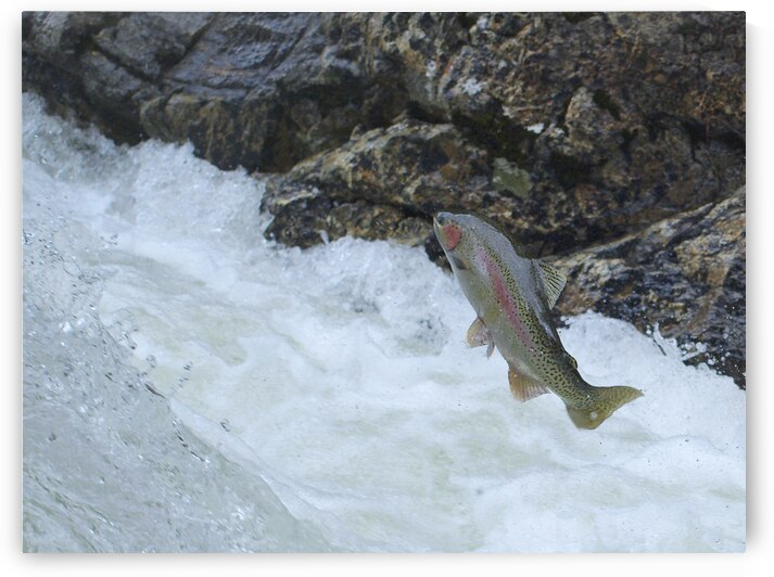 Determined by BCPHOTO