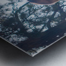 Retired Ram Metal print