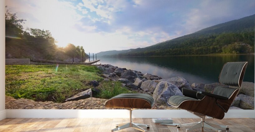 Robson Boat Launch Regional Park Wall Murals