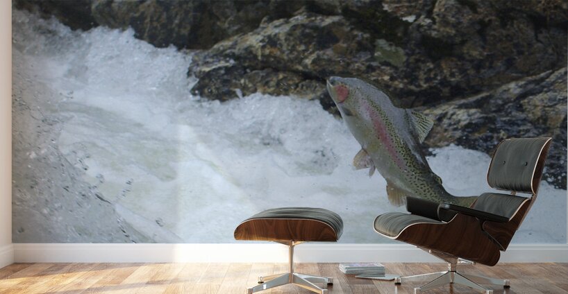 Determined Wall Murals