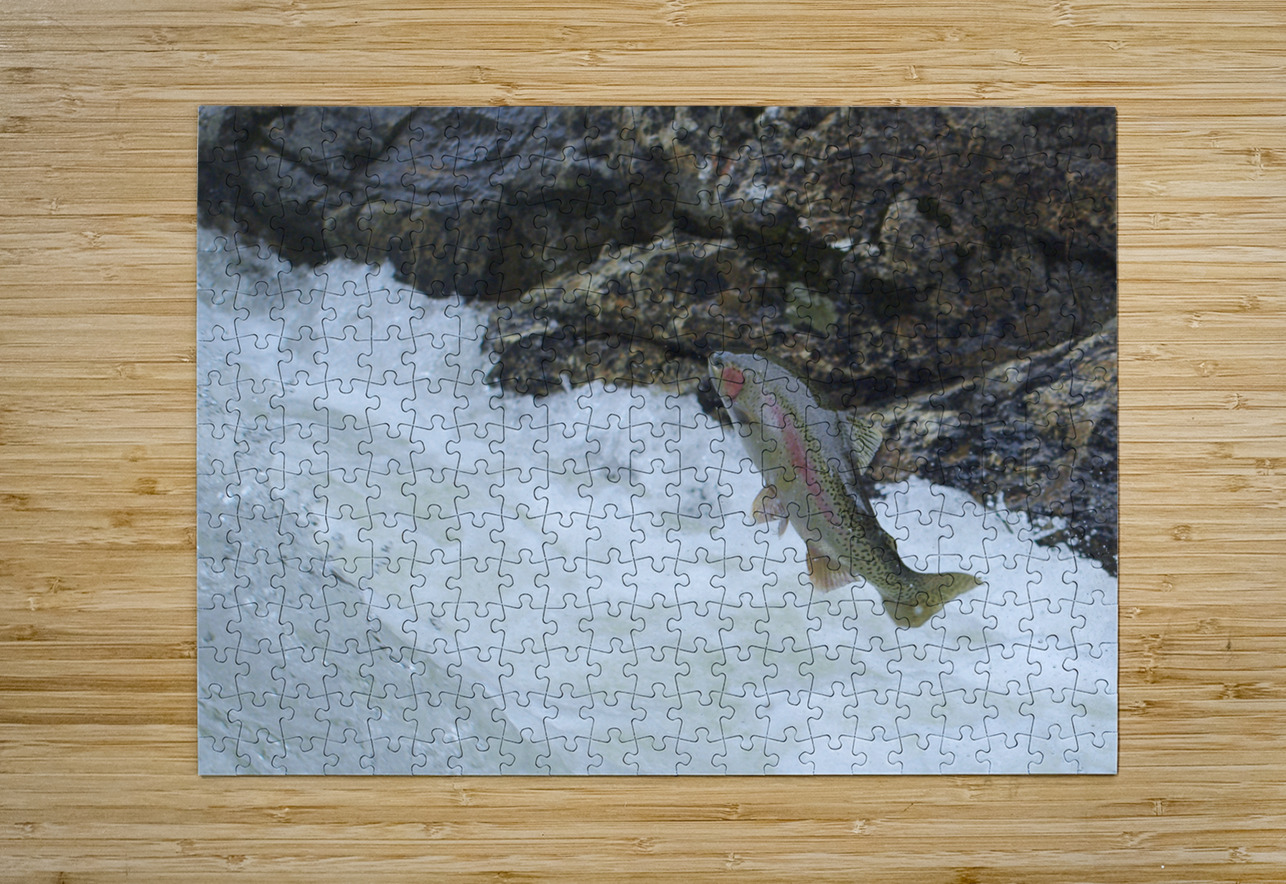 Determined BCPHOTO Puzzle printing